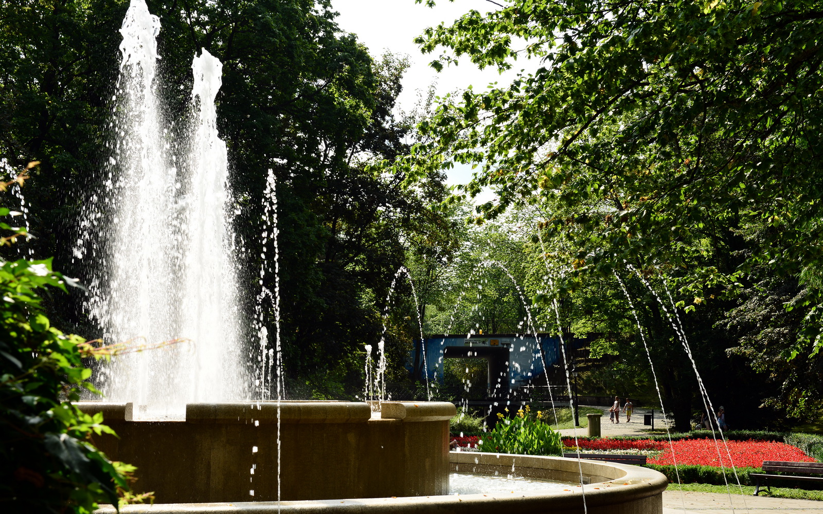 Widok na fontannę - Park Książąt Pomorskich 'A' w Koszalinie