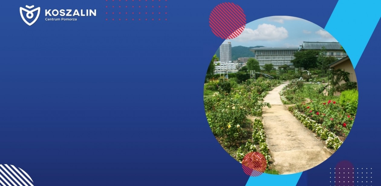 Na grafice widać ogród