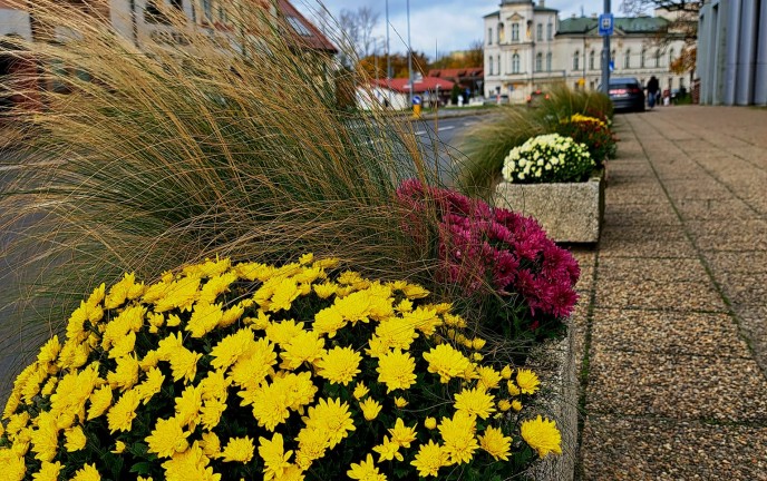 jesienny koszalin