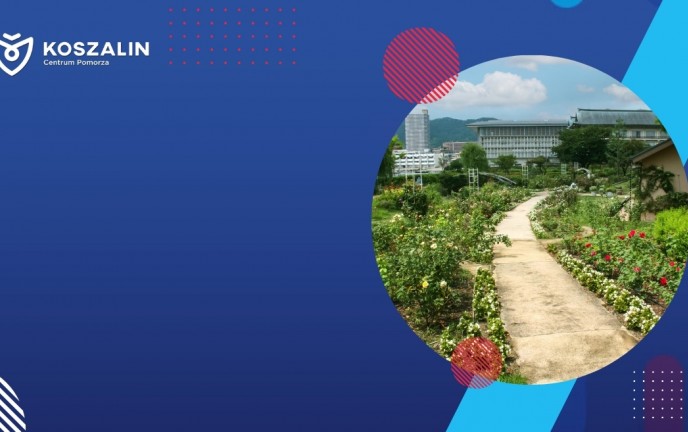 Na grafice widać ogród