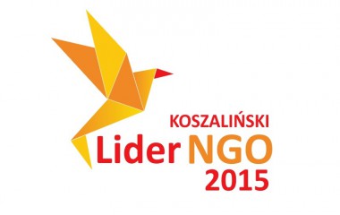 Logo "Lider NGO"