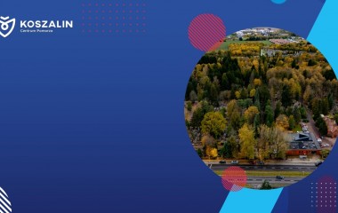 na zdjęciu znajduje się zieleń, wraz z architekturą miejską 