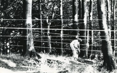Czarno białe zdjęcie przedstawia mężczyznę w leśnej scenerii, który oplata sznurkiem widoczne na zdjęciu pnie drzew.